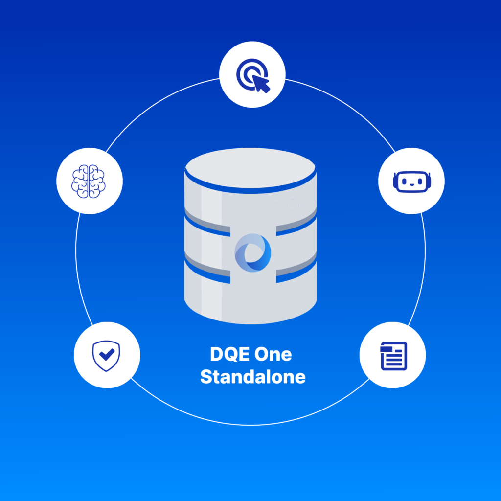 Data Stewardship dans DQE One Standalone