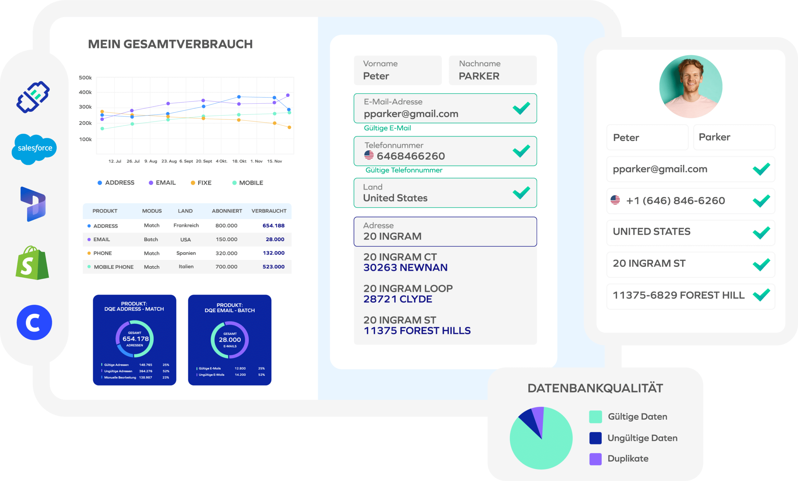 Beispielbildschirm eines Datenqualitäts-Audits von DQE One