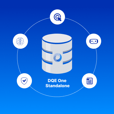 Data Stewardship in DQE One Standalone