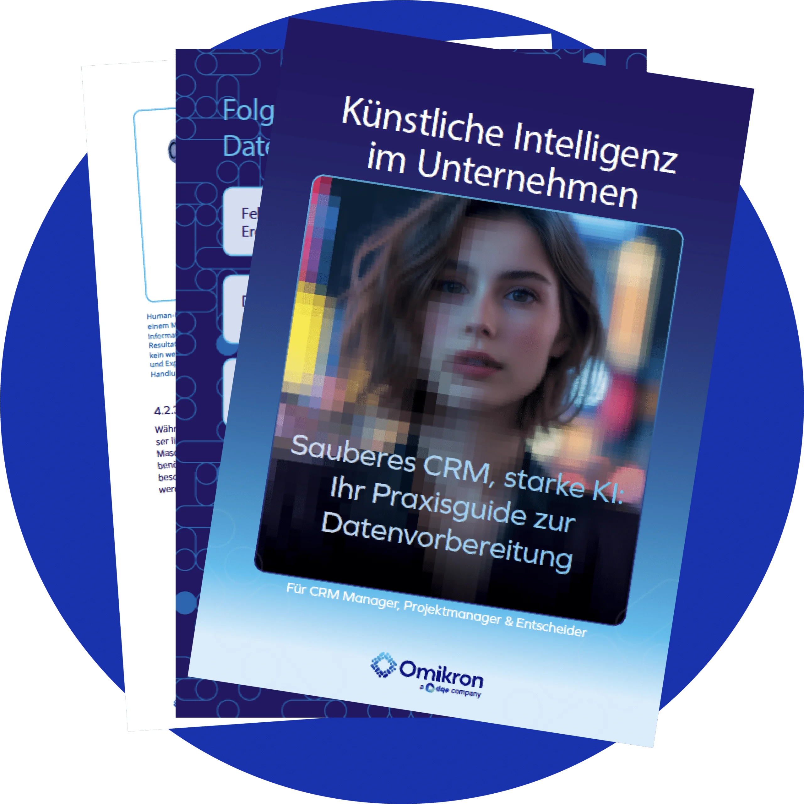 DQE Ebook Sauberes CRM, starke KI